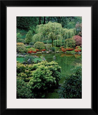 Weeping willow tree and pond in a Japanese Garden, Washington Park, Portland, Oregon