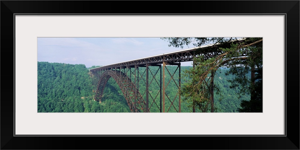 Panoramic photograph of a dense forest of trees surrounding the base of New River Gorge Bridge in West Virginia.