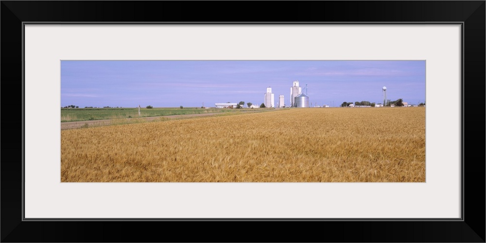 Wheat Field KS