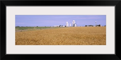 Wheat Field KS