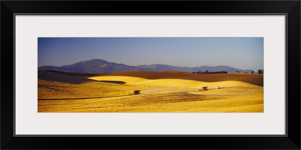 Wheat Field WA