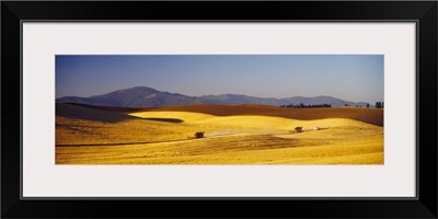 Wheat Field WA