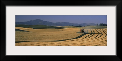 Wheat Fields Palouse Country WA