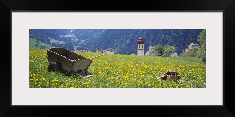 Wheelbarrow in a field, Austria