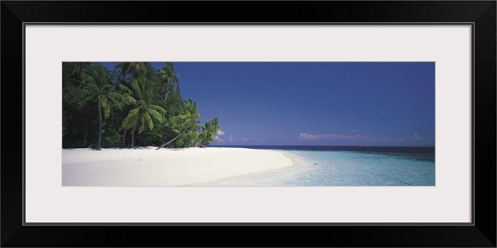 Panoramic photograph shows a dense forest lined with palm trees sitting near the edge of a beach while the waves of the In...