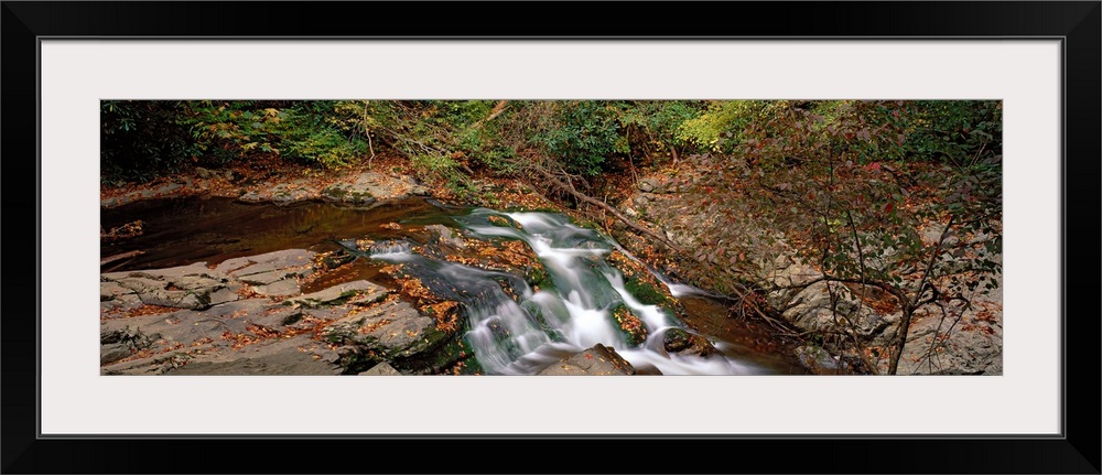 White Water The Great Smoky Mountains TN