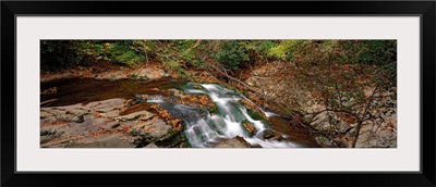 White Water The Great Smoky Mountains TN