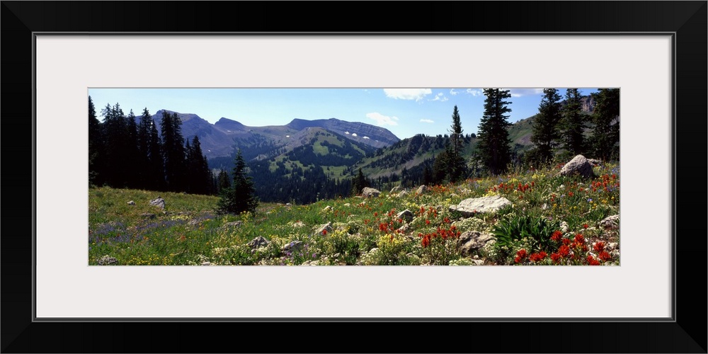 Horizontal canvas photo art of a field of flowers with rugged mountains in the distance.