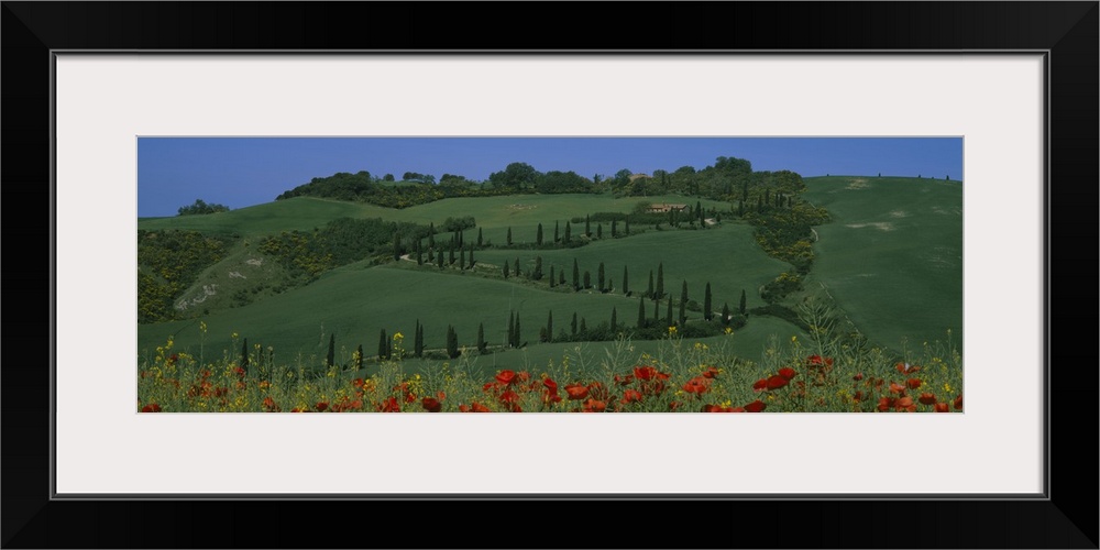 Winding road on a landscape, Crete Senesi, Pienza, Tuscany, Italy