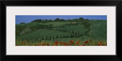 Winding road on a landscape, Crete Senesi, Pienza, Tuscany, Italy