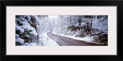 Winter Road MT