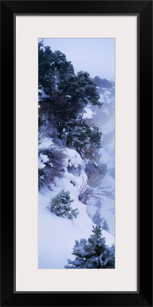 Vertical photograph of a snowy cliffside full of hardy bushes and trees under a deep layer of snow in Arizona.