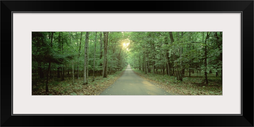 Wisconsin, Door County, Road running through a forest