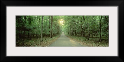 Wisconsin, Door County, Road running through a forest