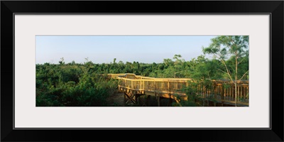 Wooden bridge in a forest Everglades National Park Florida