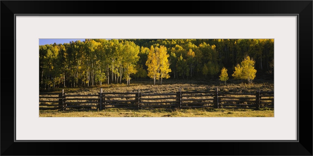 Colorful trees are pictured behind a small wooden fence in panoramic view.