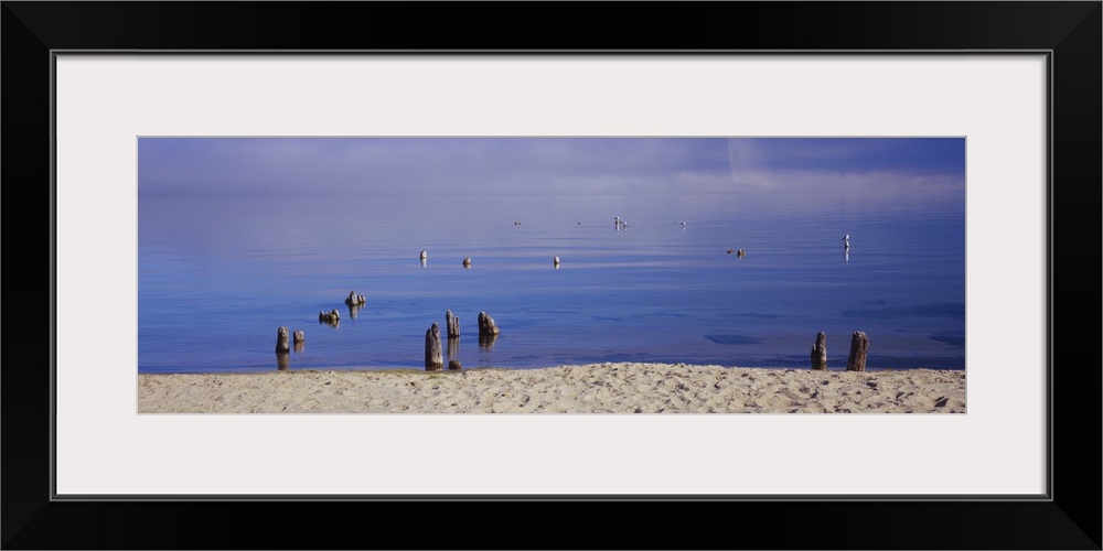 Wooden post in a lake, Lake Michigan, Michigan