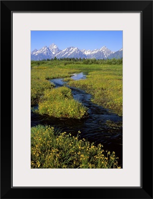 Wyoming, Grand Teton National Park, Water flowing through the landscape