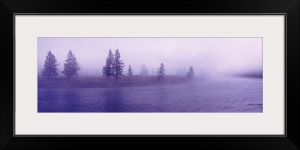 Wyoming, View of trees lining a misty river