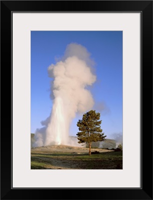 Wyoming, Yellowstone National Park, Old Faithful, Steam and water erupting from thermal pool