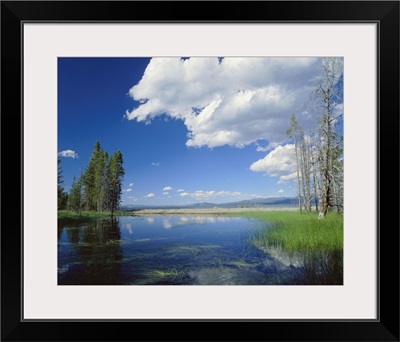 Wyoming, Yellowstone National Park, Yellowstone Lake, Reflection of clouds and trees in the lake