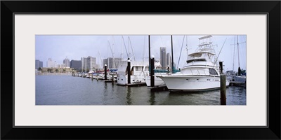 Yachts at a harbor with buildings in the background, Corpus Christi, Texas