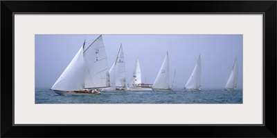 Yachts racing in the ocean, Annual Museum Of Yachting Classic Yacht Regatta