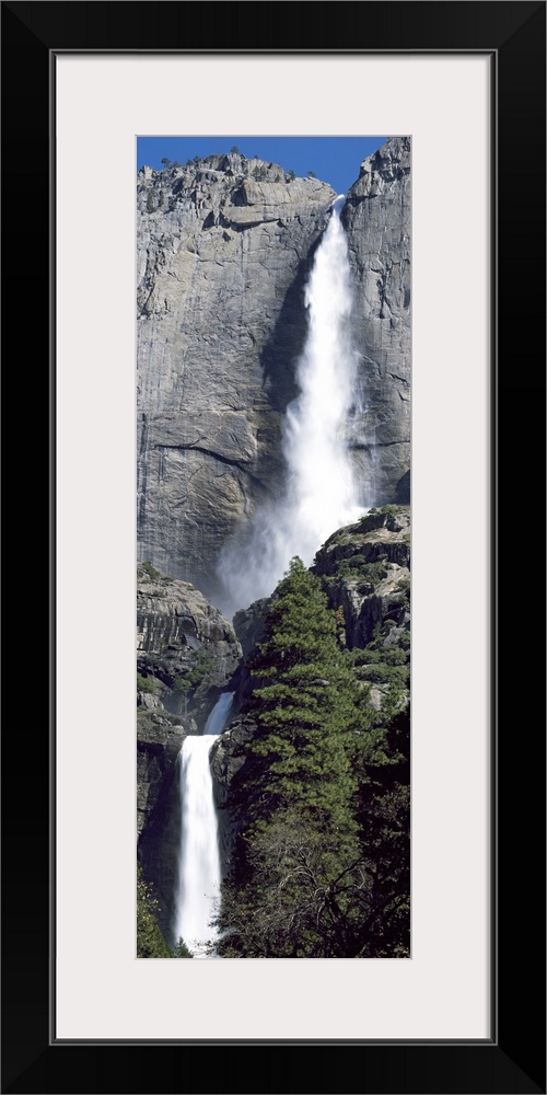 A narrow and vertical shaped photograph of the majestic Yosemite Falls in late spring with heavy water flow cascading down...