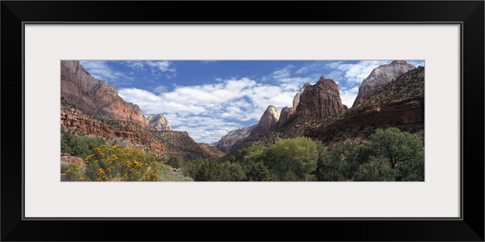 Panoramic photograph of canyon under a cloudy sky with dense shrubbery in the foreground.
