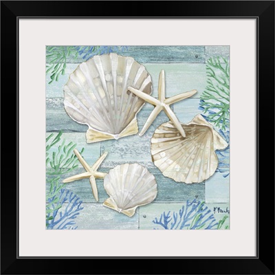 Clearwater Shells IV