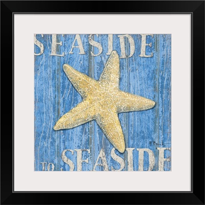 Coastal USA - Starfish I