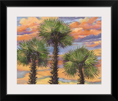 Palm Trio Sunset