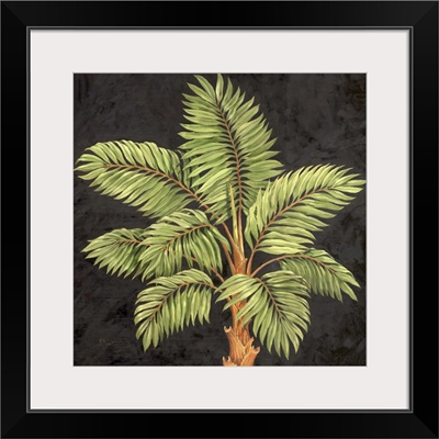 Parlor Palm I