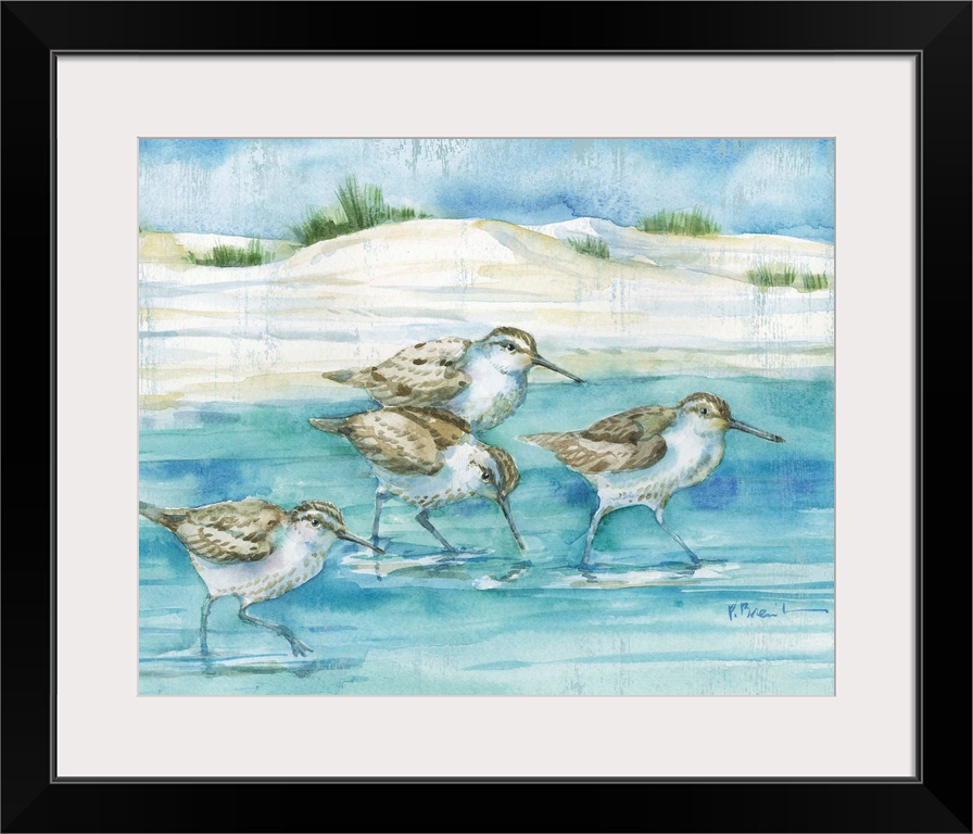 Sandy Sandpipers I