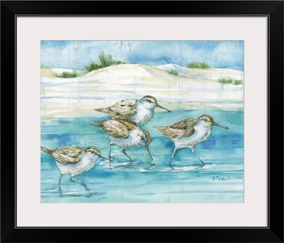 Sandy Sandpipers I