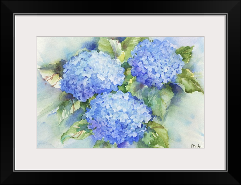 Large watercolor painting of blue hydrangeas.