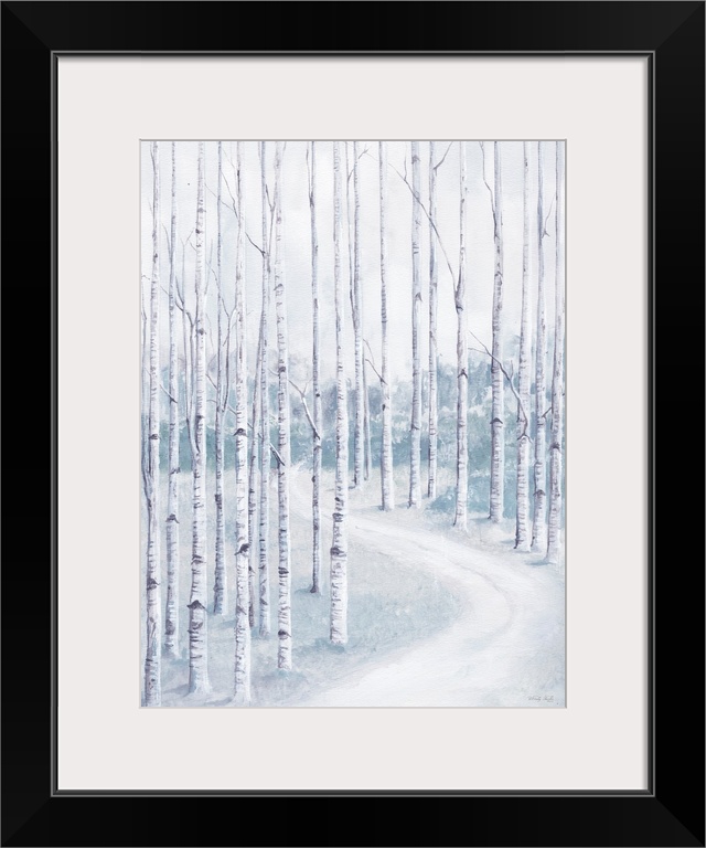 Birch Forest