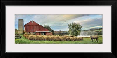 Hay Harvest