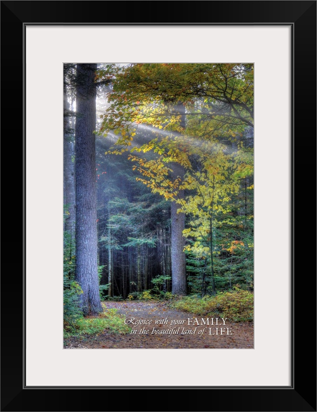 White text against a photograph of a forest path leading deeper into the woods.