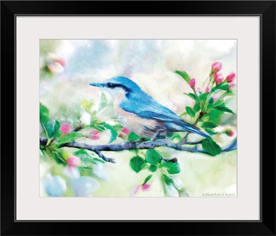 Spring Blue Bird on a Bough