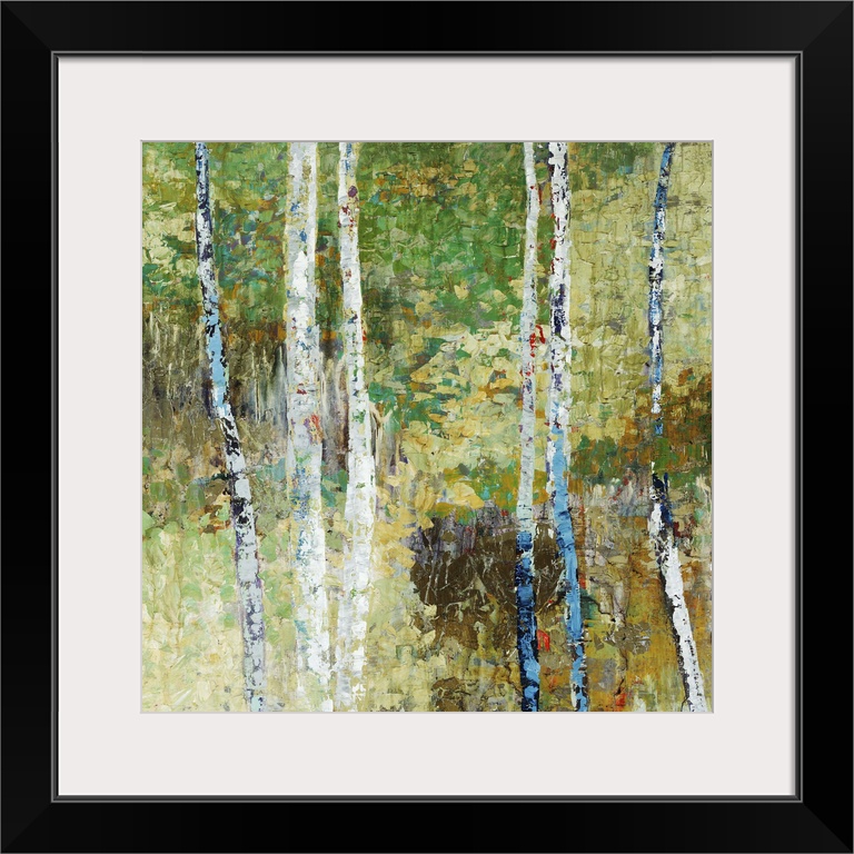 Woodland Birch