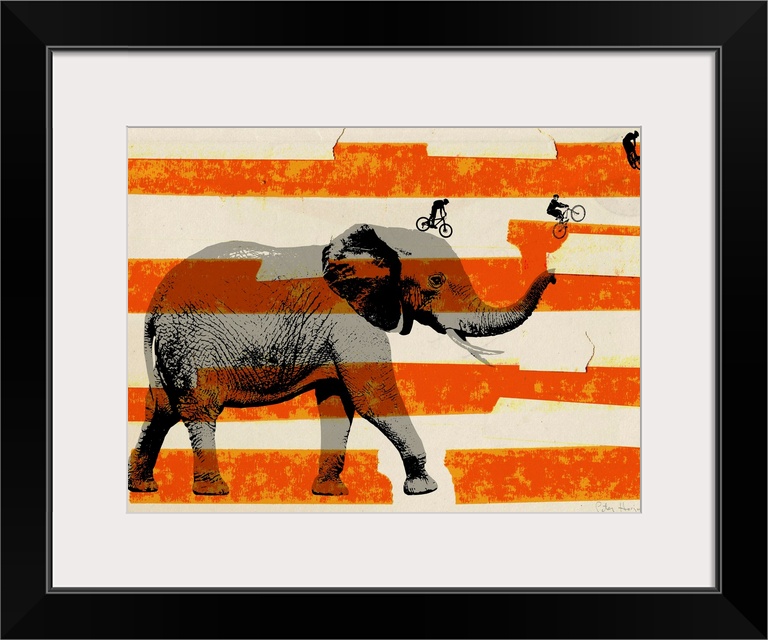 Large gray elephant in profile with bmx riders jumping off the elephant’s trunk with american flag stripes in the background.