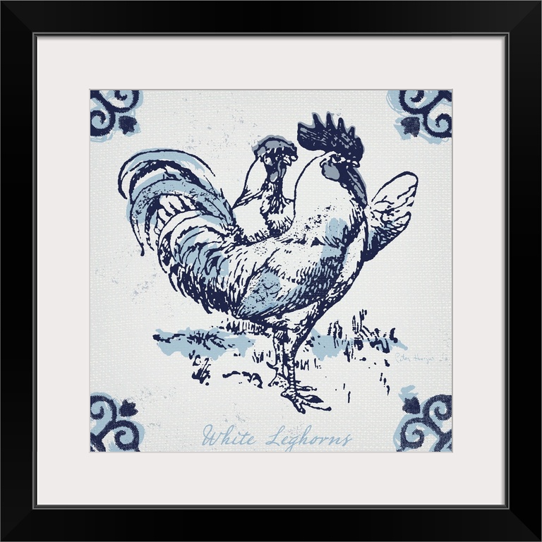White leghorn chickens with typography in dutch blue