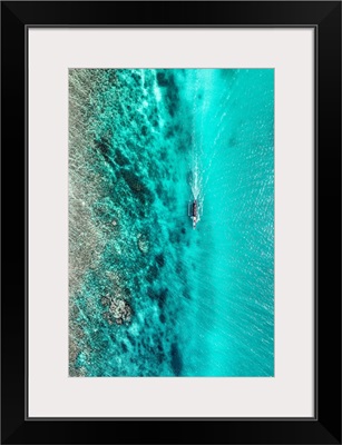 Aerial Summer - Turquoise Coral