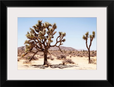 American West - Colorado Desert