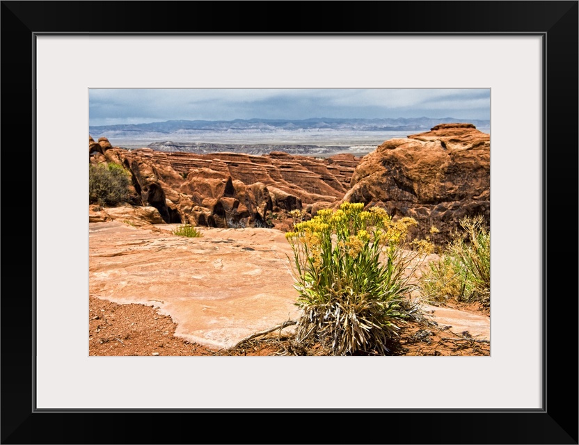 The rocky desert landscape of Arches National Park in Moab, Utah.