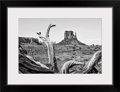 Black And White Arizona Collection - Amazing Monument Valley