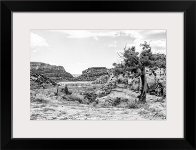 Black And White Arizona Collection - In The Valley