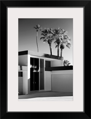 Black And White California Collection - Palm Springs Modern Design