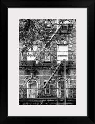 Black And White Manhattan Collection - Between The Branches